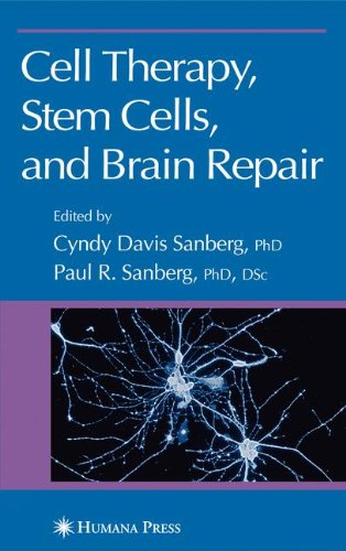 Cell Therapy Stem Cells And Brain Repair 1st Edition Cyndy D Davis
