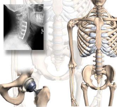 Orthopaedic Key Review Concepts 1st Kingsley R Chin Resident Editor Samir Mehta