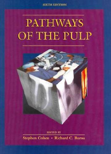 Pathways Of The Pulp Stephen Hargreaves Kenneth M Cohen