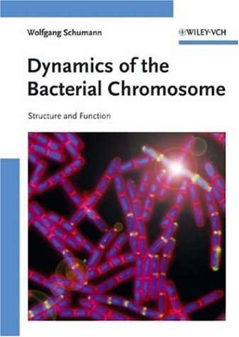 Dynamics Of The Bacterial Chromosome Structure And Function 1st Edition Wolfgang Schumann