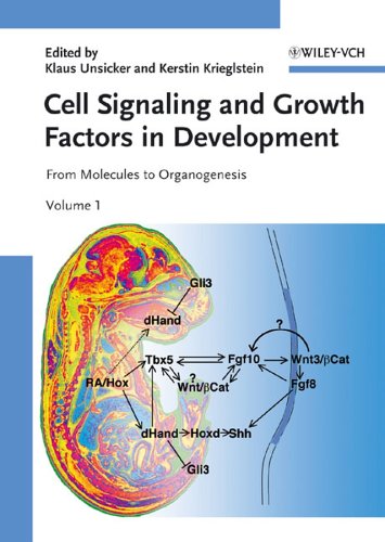 Cell Signaling And Growth Factors In Development From Molecules To Organogenesis 1st Edition Klaus Unsicker
