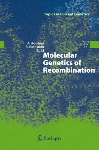 Molecular Genetics Of Recombination 1st Edition Andrs Aguilera