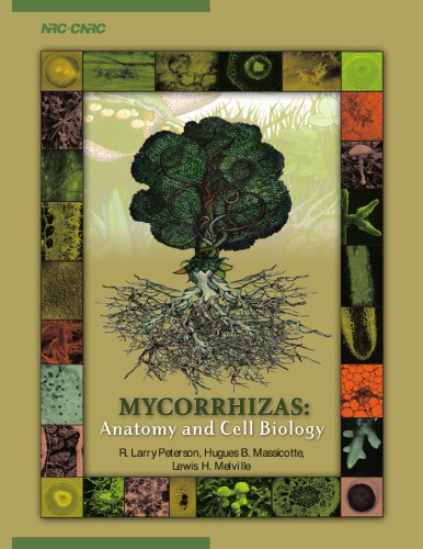 Mycorrhizas Anatomy And Cell Biology R L Peterson H B Massicotte