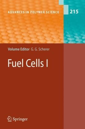 Fuel Cells I 1st Edition Lorenz Gubler Günther G Scherer Auth