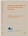 Basement Membranes Cell And Molecular Biology Nicholas A Kefalides