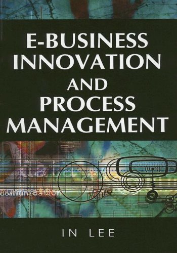 Ebusiness Innovation And Process Management 1st Edition In Lee