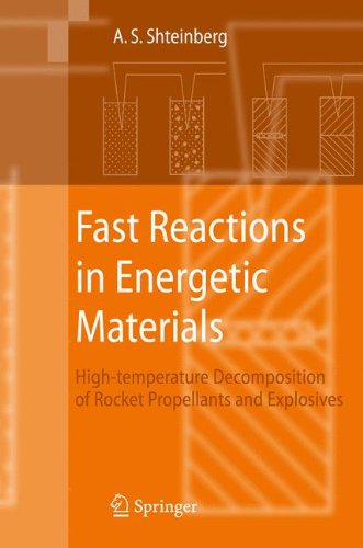 Fast Reactions In Energetic Materials 1st Edition Alexander S Shteinberg
