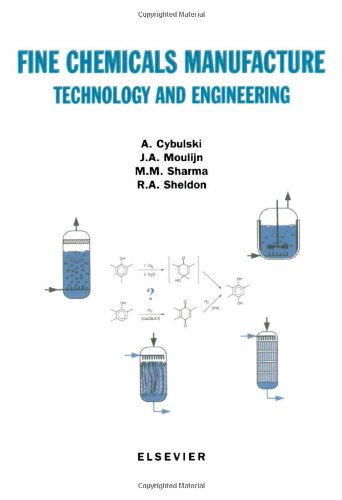 Fine Chemicals Manufacture Technology And Engineering 1st Edition A Cybulski