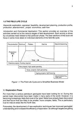 Hydrocarbon Exploration And Production Jahn
