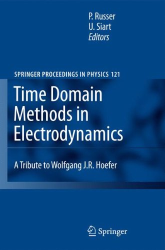 Time Domain Methods In Electrodynamics A Tribute To Wolfgang J R Hoefer 1st Edition Peter Russer