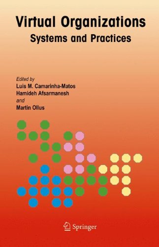 Virtual Organizations Systems And Practices 1st Edition Luis M Camarinhamatos