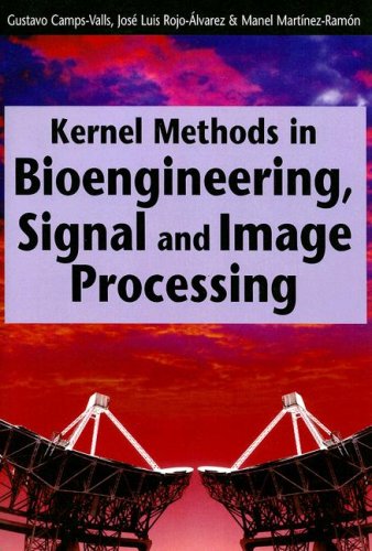 Kernel Methods In Bioengineering Signal And Image Processing Manuel Martinezramon