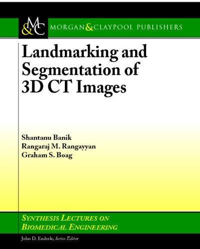 Landmarking And Segmentation Of 3d Ct Images 1st Edition Graham Boag