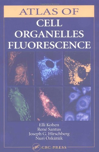 Atlas Of Cell Organelles Fluorescence 1st Edition Elli Kohen