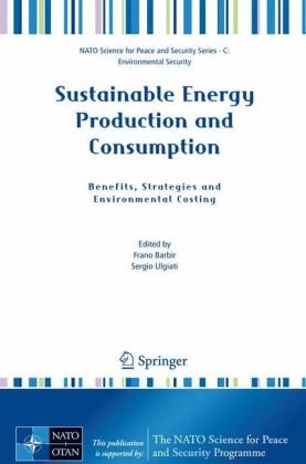 Sustainable Energy Production And Consumption Benefits Strategies And Environmental Costing 1st Edition Frano Barbir