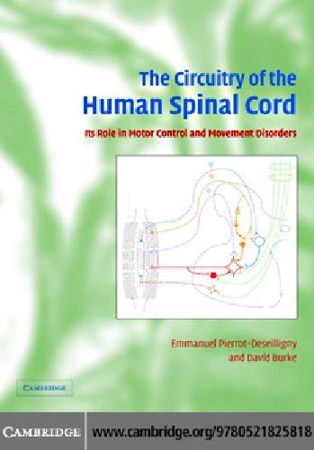 The Circuitry Of The Human Spinal Cord Its Role In Motor Control And Movement Disorders Emmanuel Pierrotdeseilligny