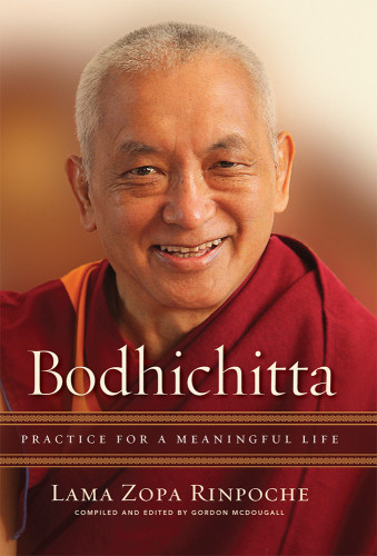 Bodhichitta Practice For A Meaningful Life Lama Zopa Rinpoche
