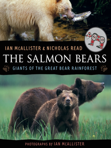 The Salmon Bears Giants Of The Great Bear Rainforest Ian Mcallister