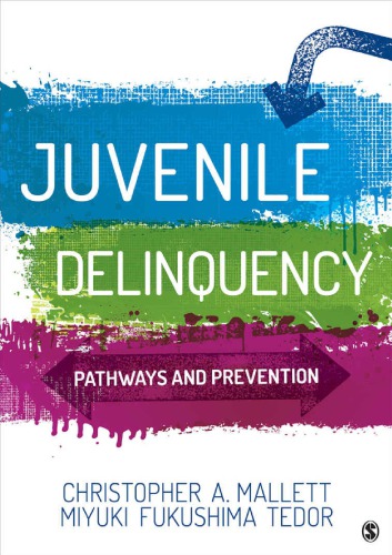 Juvenile Delinquency Pathways And Prevention Paperback Christopher A Mallett Miyuki Fukushima Tedor
