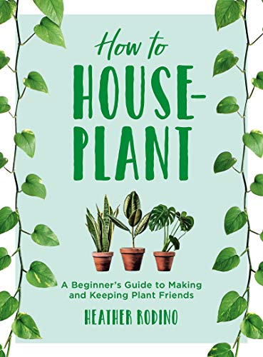 How To Houseplant A Beginners Guide To Making And Keeping Plant Friends Original Retail Heather Rodino