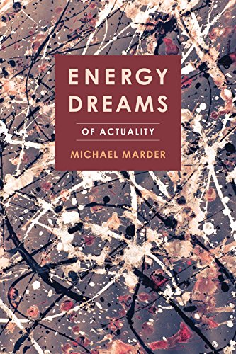 Energy Dreams Of Actuality Michael Marder