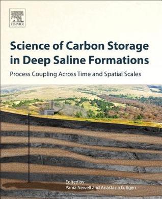 Science Of Carbon Storage In Deep Saline Formations Process Coupling Across Time And Spatial Scales Pania Newell