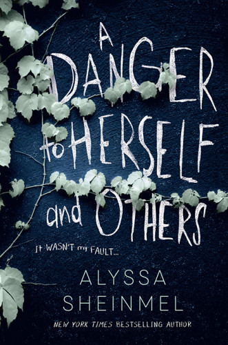 A Danger To Herself And Others Sheinmel Alyssa