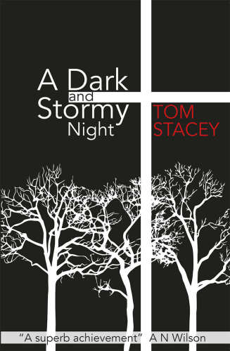 A Dark And Stormy Night Stacey Tom