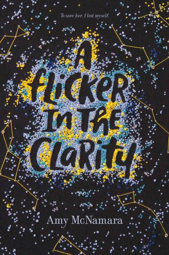 A Flicker In The Clarity Mcnamara Amy