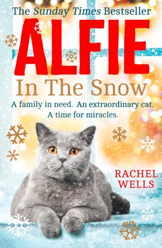 Alfie In The Snow Wells Rachel