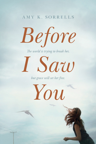 Before I Saw You Sorrells Amy