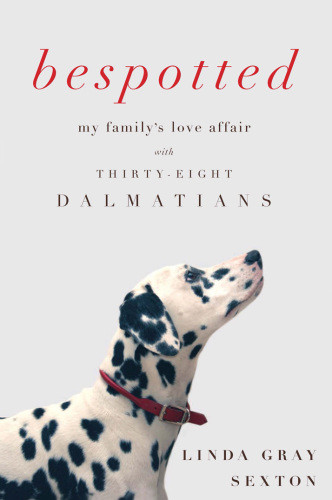 Bespotted My Familys Love Affair With Thirtyeight Dalmatians Sexton