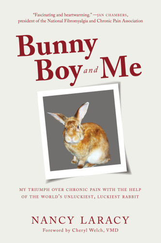 Bunny Boy And Me My Triumph Over Chronic Pain With The Help Of The Worlds Unluckiest Luckiest Rabbit Laracy Nancy