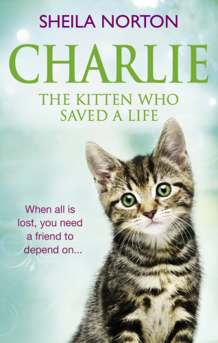 Charlie The Kitten Who Saved A Life Norton Sheila