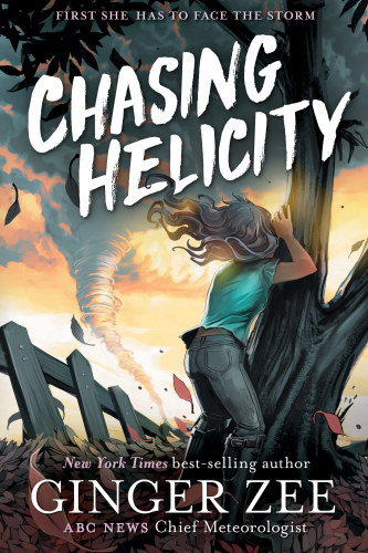 Chasing Helicity Zee Ginger