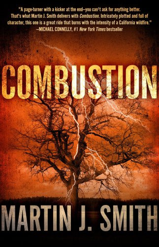 Combustion Smith Martin J