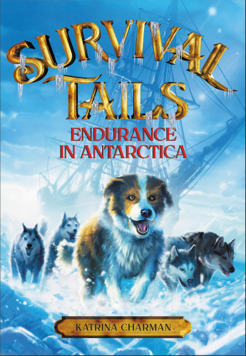 Endurance In Antarctica Charman Katrina