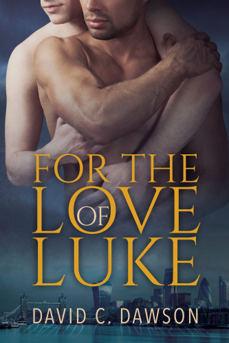 For The Love Of Luke 1st Edition David C Dawson