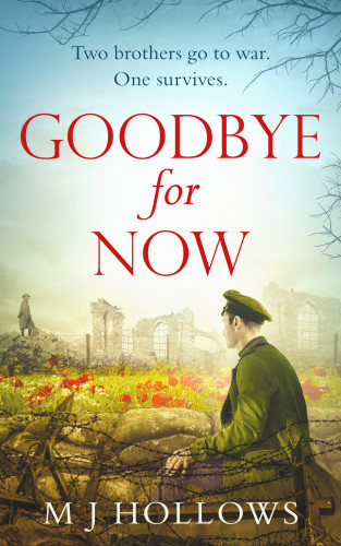 Goodbye For Now Hollows M J