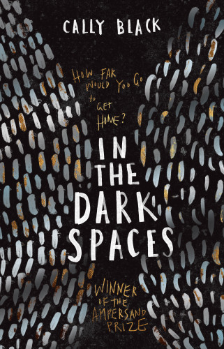 In The Dark Spaces Black Cally