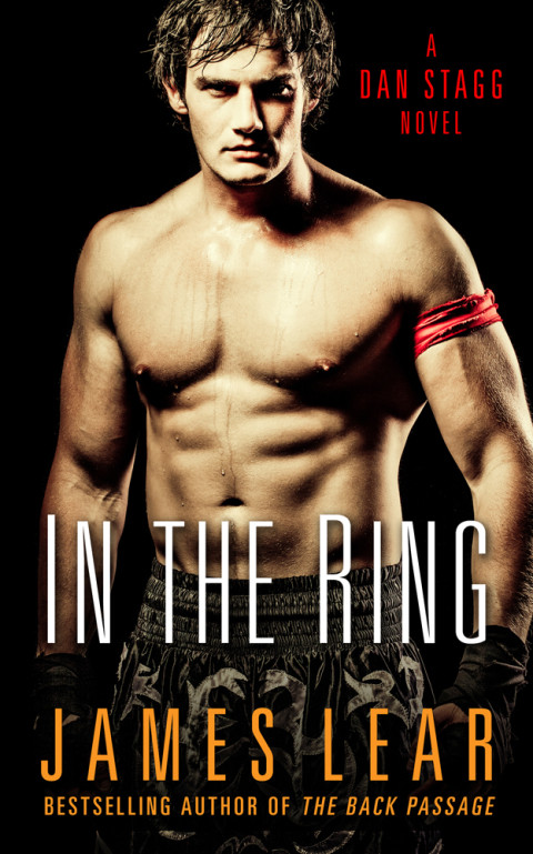 In The Ring Dan Stagg Mystery 1st Edition James Lear
