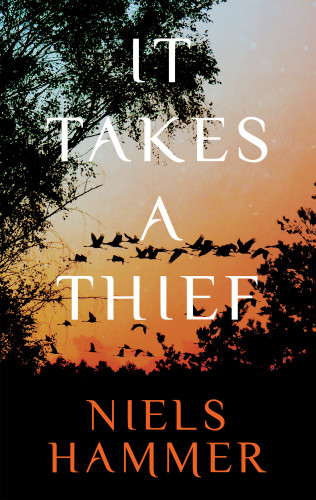 It Takes A Thief Hammer Niels