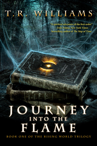 Journey Into The Flame T R Williams
