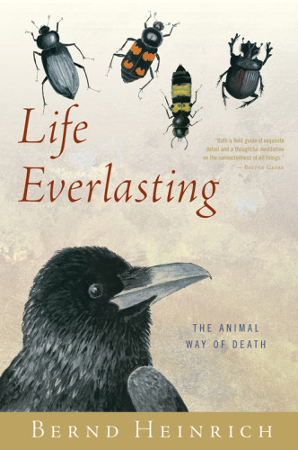 Life Everlasting Heinrich Bernd