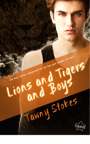 Lions And Tigers And Boys Stokes Tawny