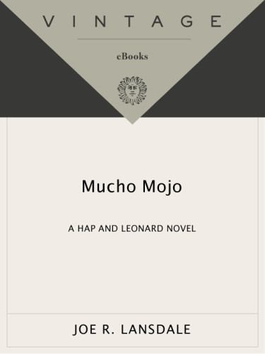 Mucho Mojo Joe R Lansdale