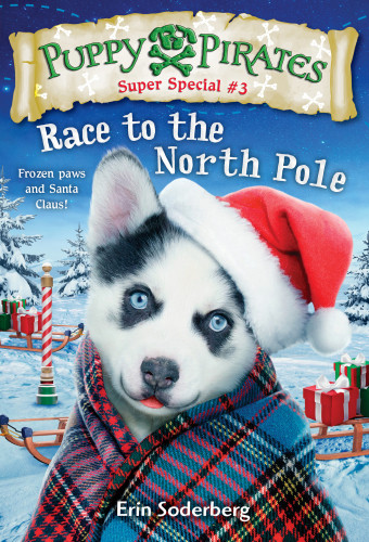 Race To The North Pole Soderberg Erin