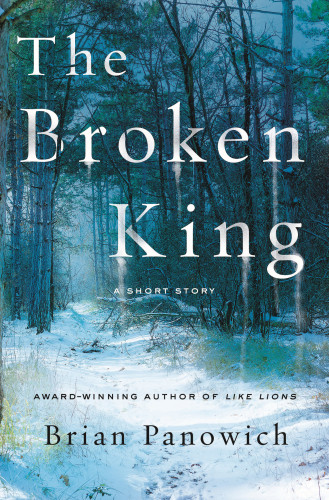 The Broken King Panowich Brian