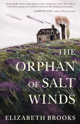 The Orphan Of Salt Winds Brooks Elizabeth