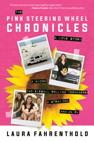 The Pink Steering Wheel Chronicles Fahrenthold Laura